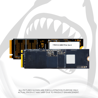 Ổ cứng SSD SSTC Hammerhead 1TB M.2 NVME Gen4x4 (PHI - E18)